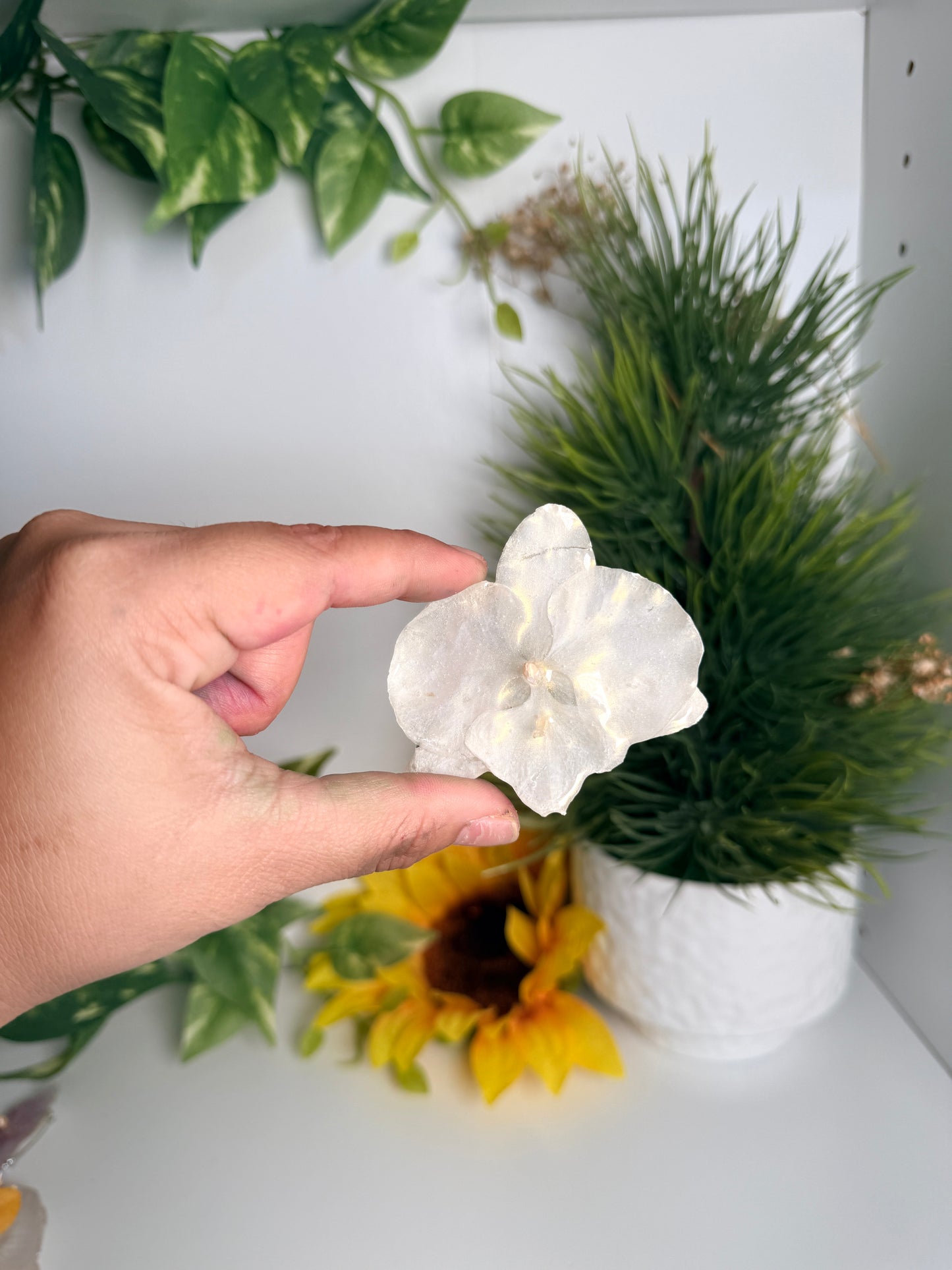 Prendedores(Orchid pins)
