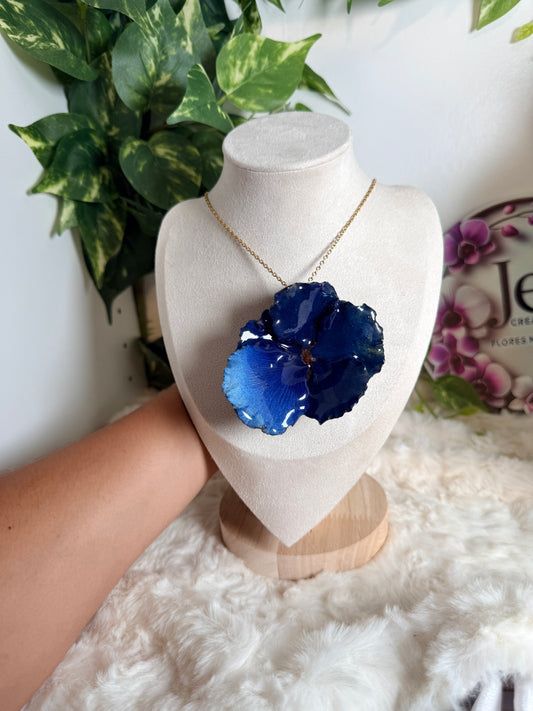 Flamboyán azul