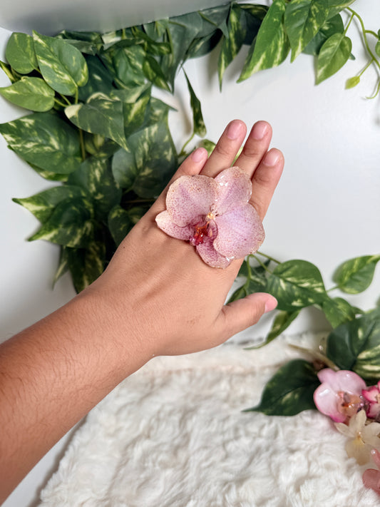 Phalaenopsis Ring