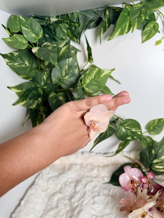 Ivory Phalaenopsis Ring