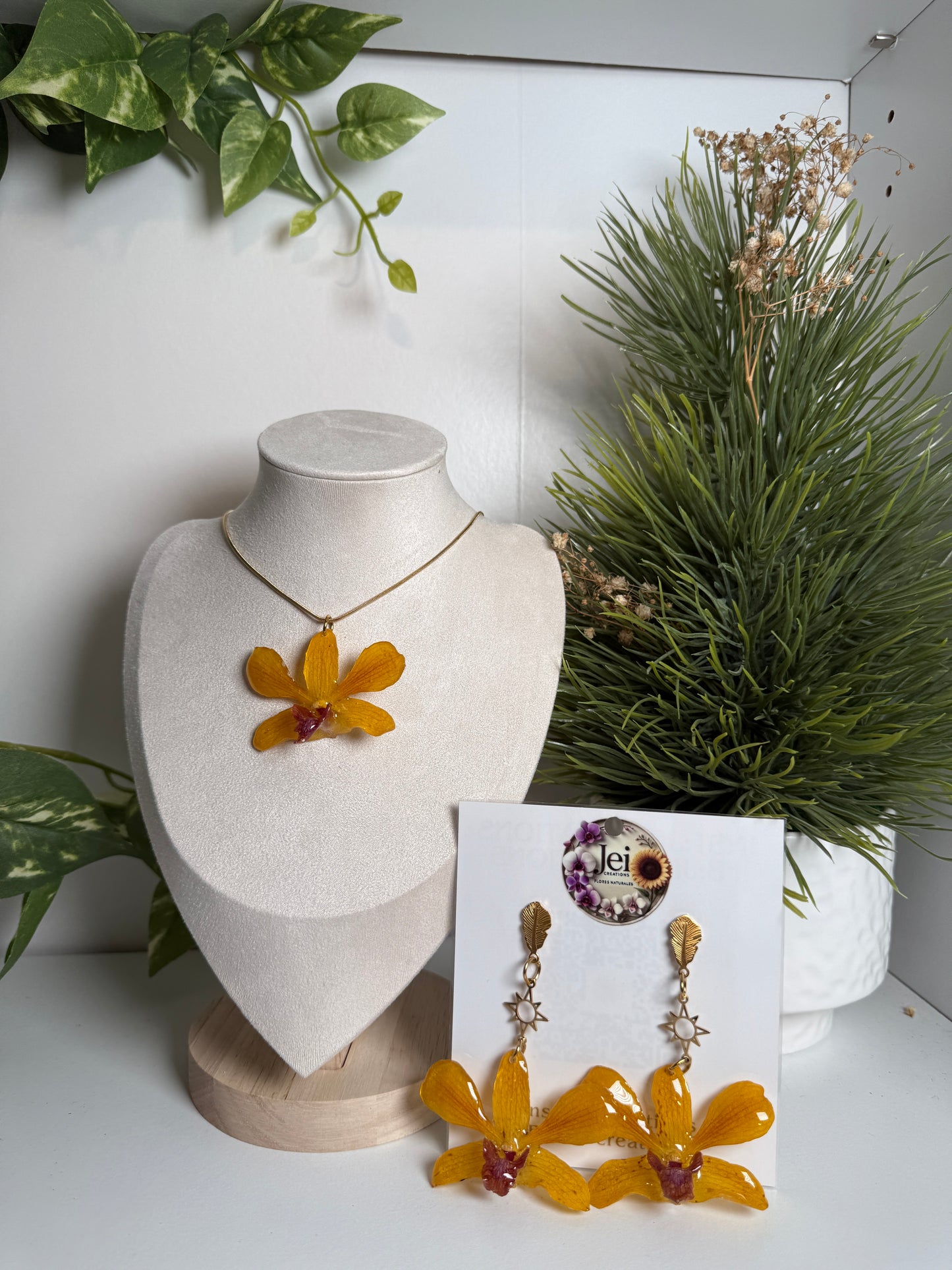 Fairy Dendrobium set