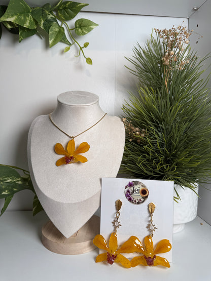 Fairy Dendrobium set