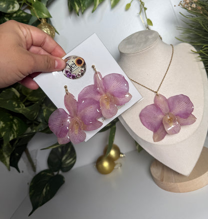 Big Dendrobium Orchid set