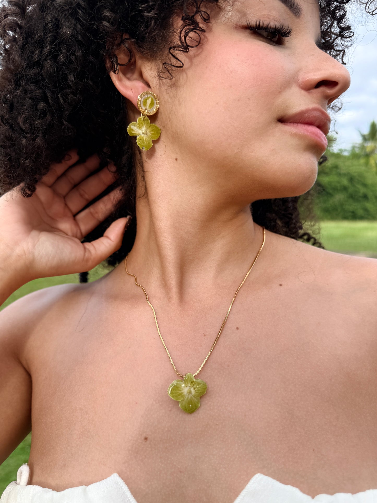 Mom’s Garden Bundle(Hortensia)