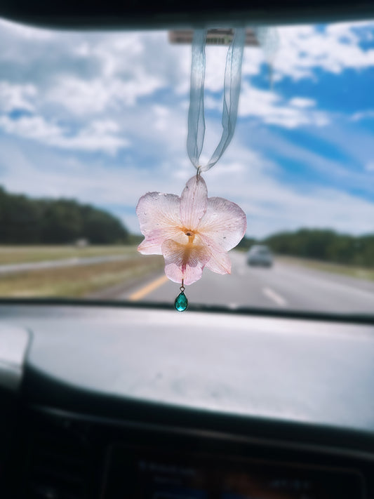 Dendrobium Orchid Car Hanging