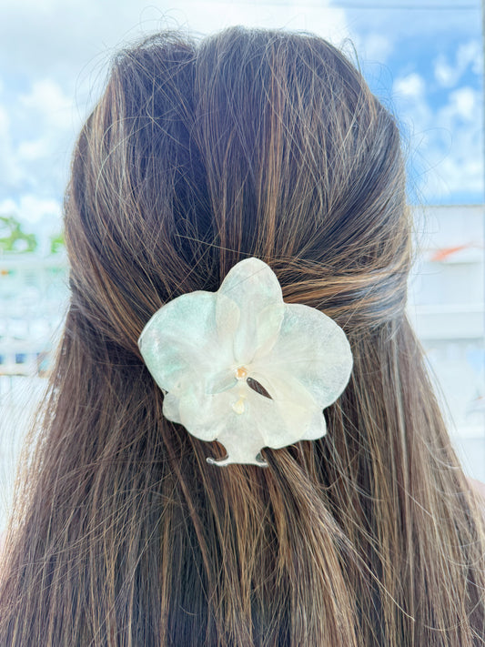 White Phalaenopsis Orchid Hair clip