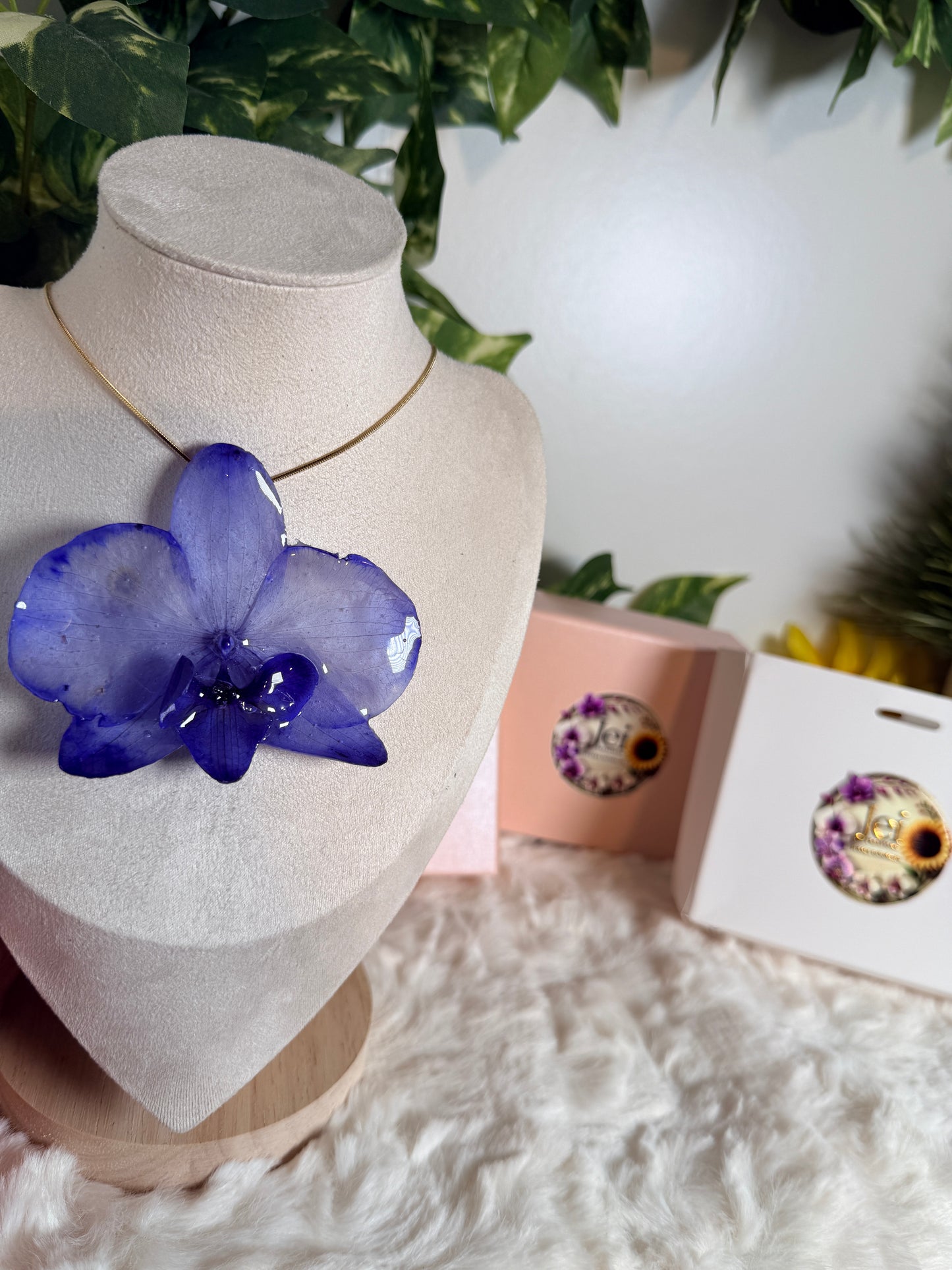 Midnight Blue Orchid for Mom(bundle)
