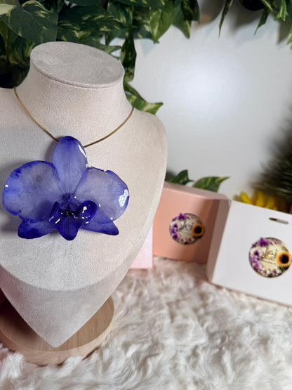 Midnight Blue Orchid for Mom(bundle)