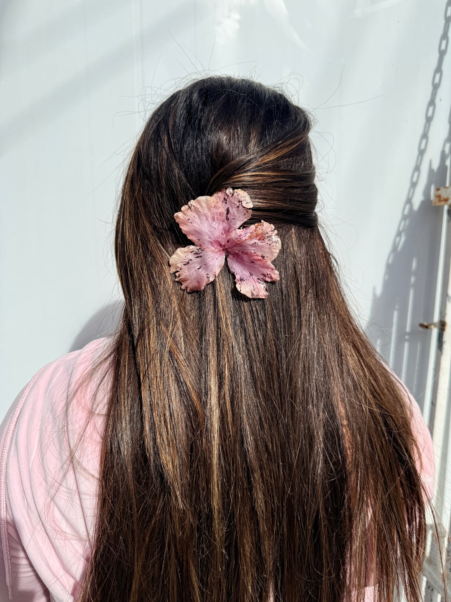 Exotic Hair Clip