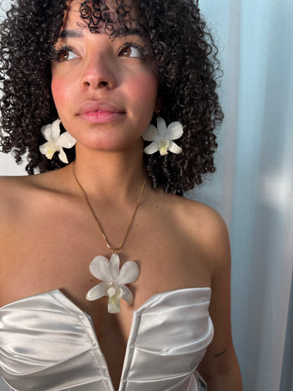 White Dendrobium Orchid set