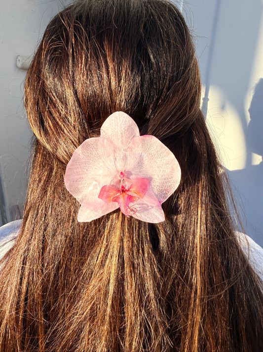 Pink Whisper Orchid Hair Clip