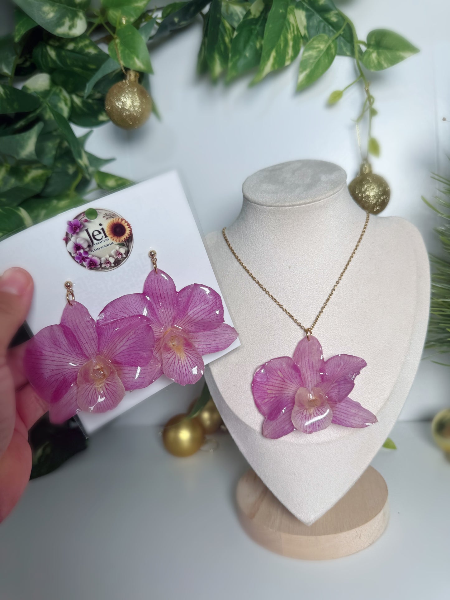 Big Dendrobium Orchid set