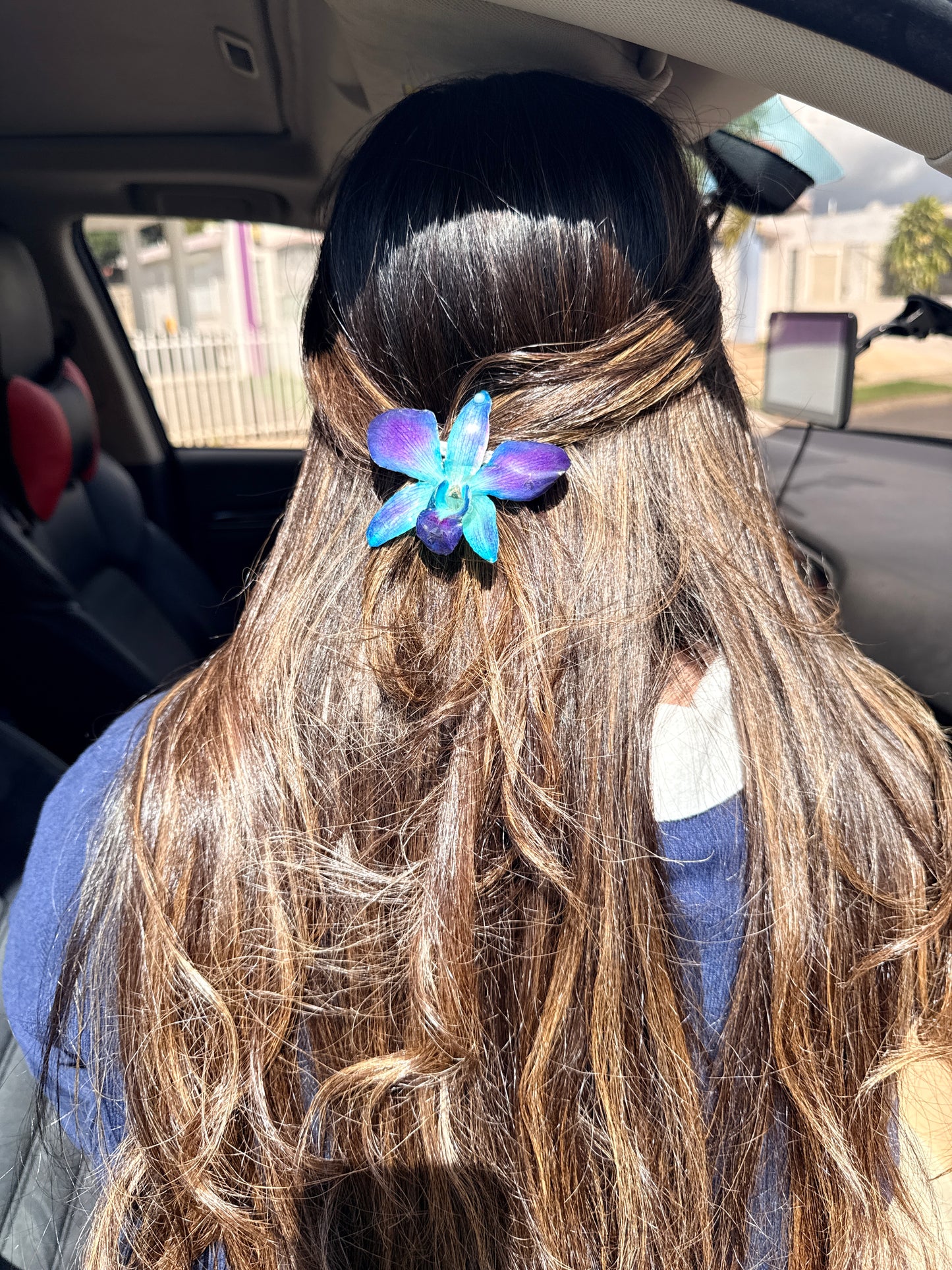 Blue Dendrobium Orchid Hair clip