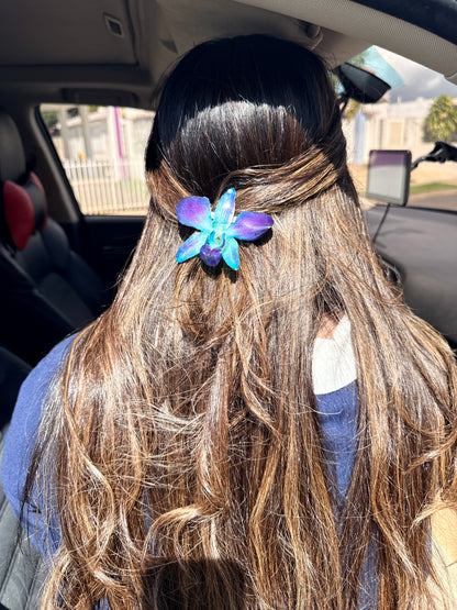 Blue Dendrobium Orchid Hair clip