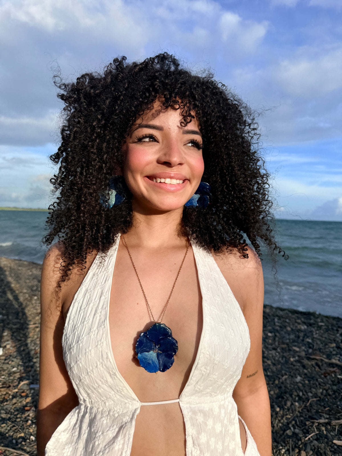 Flamboyán azul set