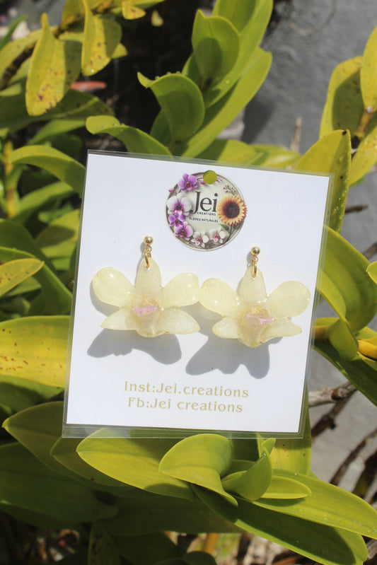 Baby Orchid earings