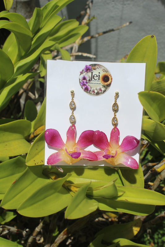 Hawái Dendrobium Orchid earings