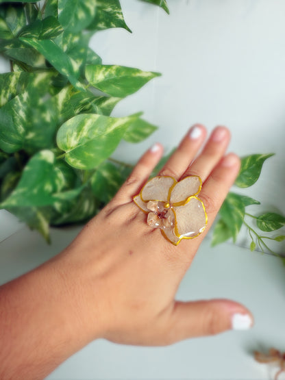 Phalaenopsis Orchid ring