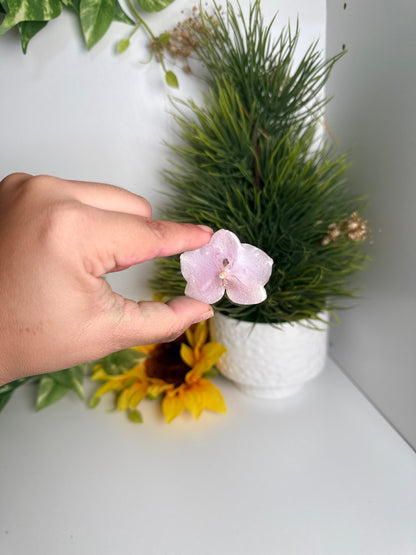 Prendedores(Orchid pins)