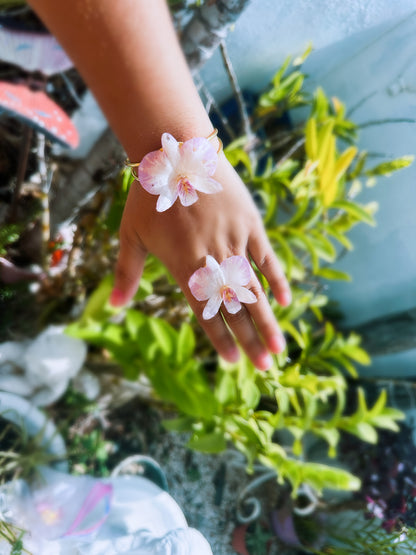 Dendrobium white/purple ring