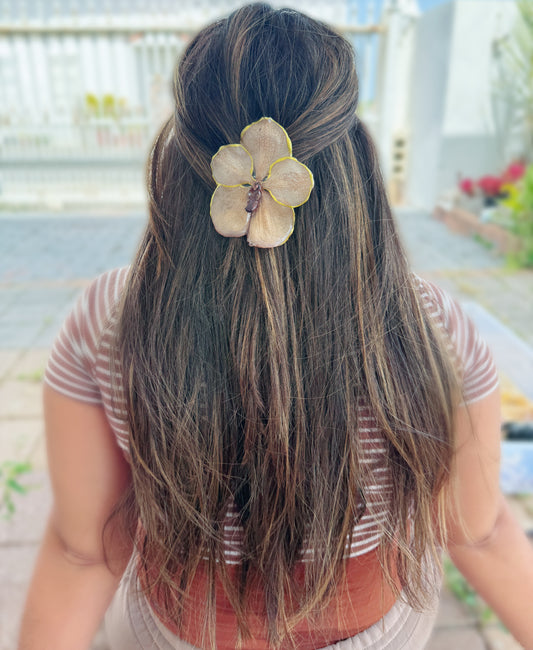 Big Orchid Vanda Hair clip