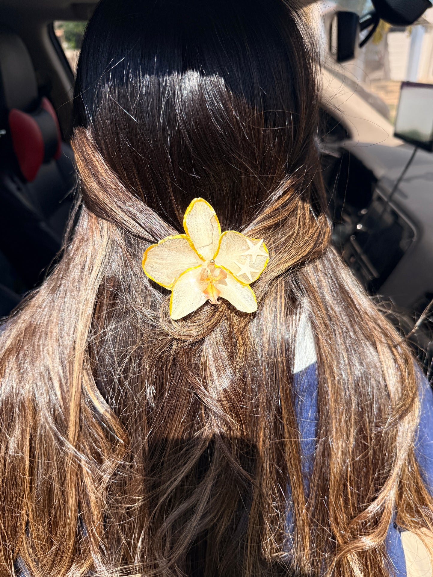 Phalaenopsis hair clip