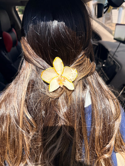 Phalaenopsis hair clip