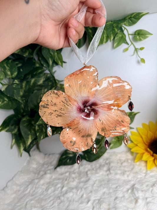 Amber Glow Exotic Poppy Hanging