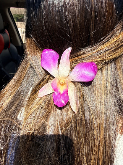 Pink/Purple Orchid Hair Clip