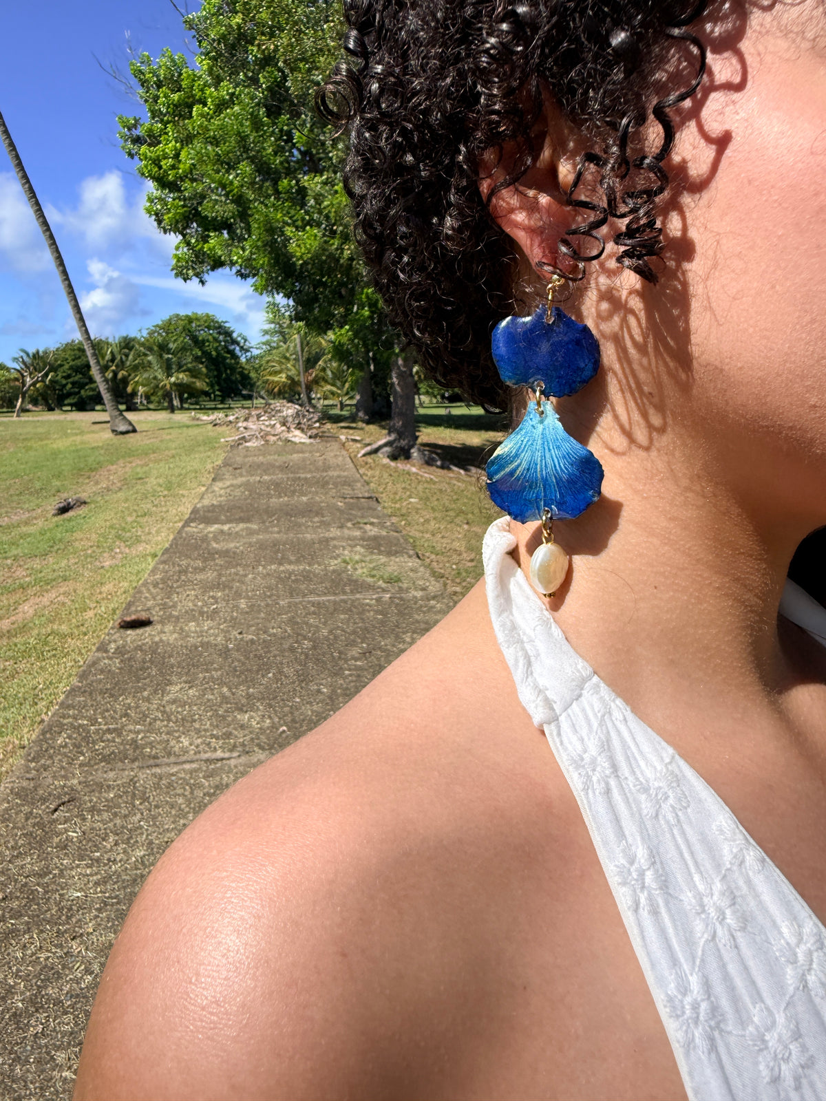 Flamboyán azul