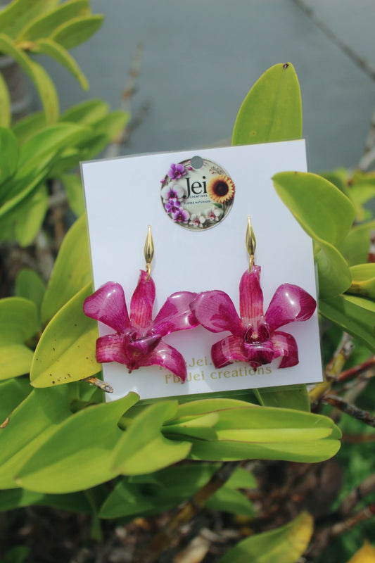 Dendrobium Orchid