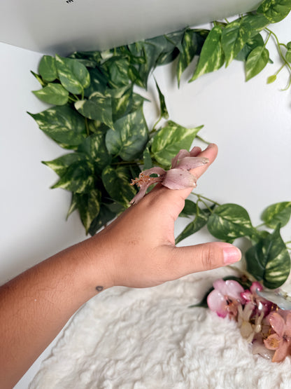 Blush Exotic Poppy Ring