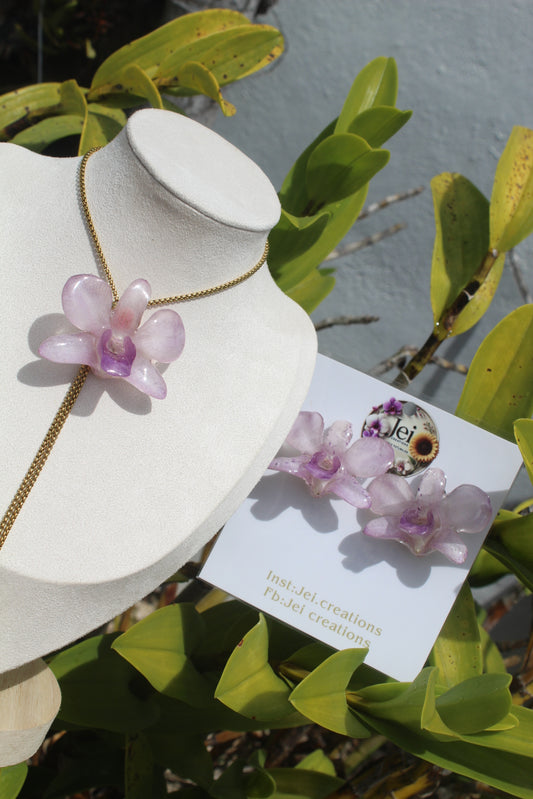 Baby purple Dendrobium set