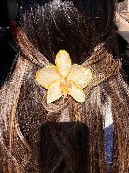 Phalaenopsis hair clip