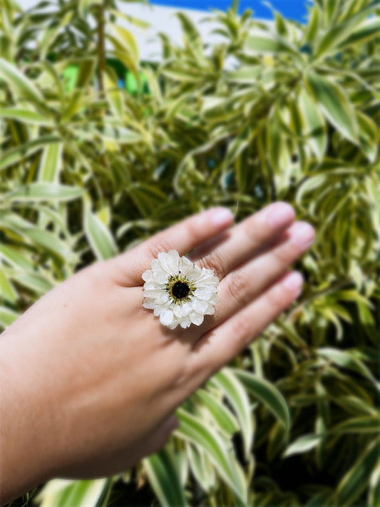 Margarita ring