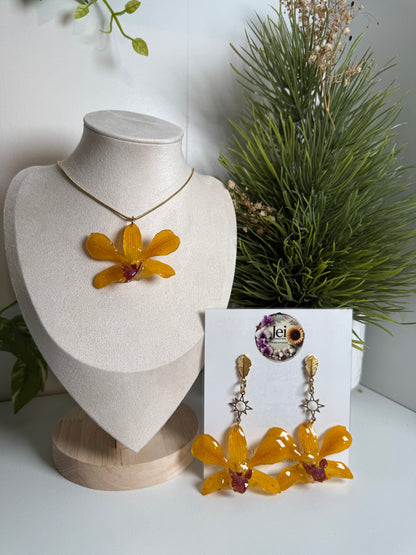 Fairy Dendrobium set