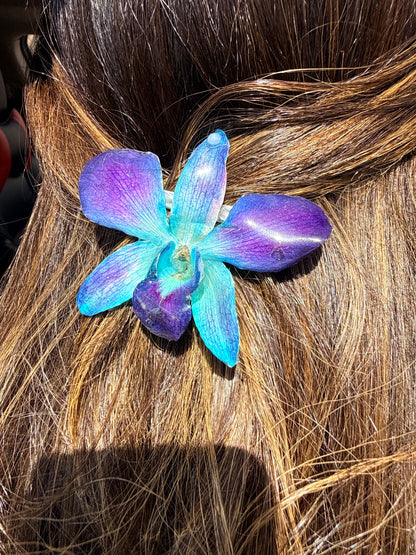 Blue Dendrobium Orchid Hair clip