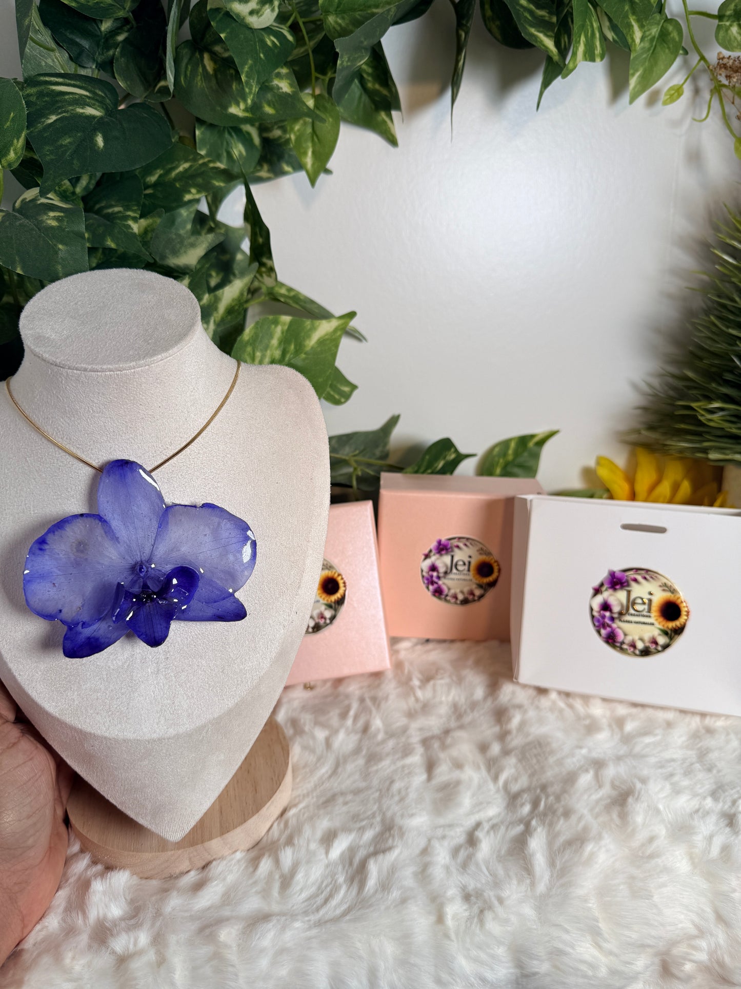 Midnight Blue Orchid for Mom(bundle)