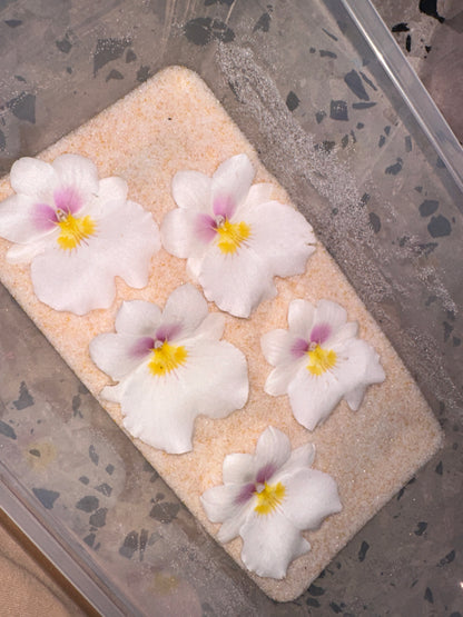 White Miltonia Orchid Hair clip
