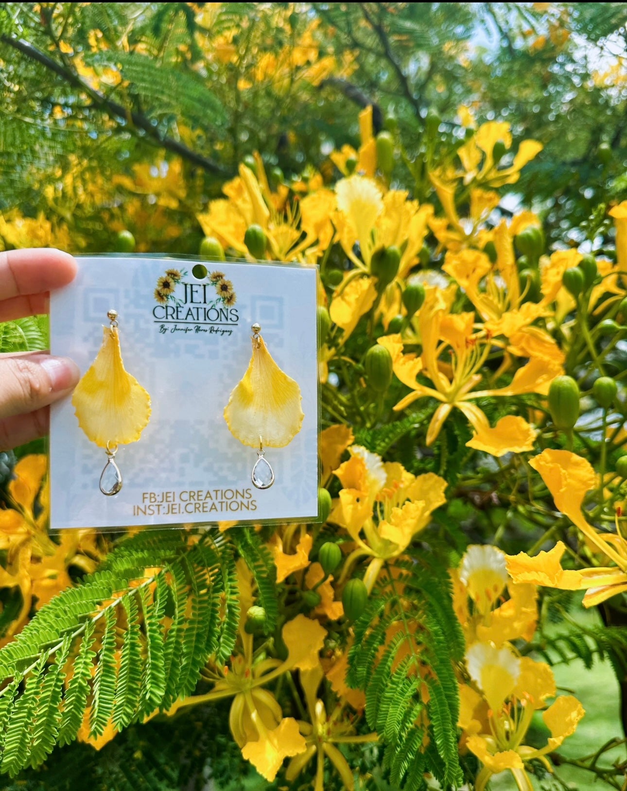 Flamboyán VIP(yellow)