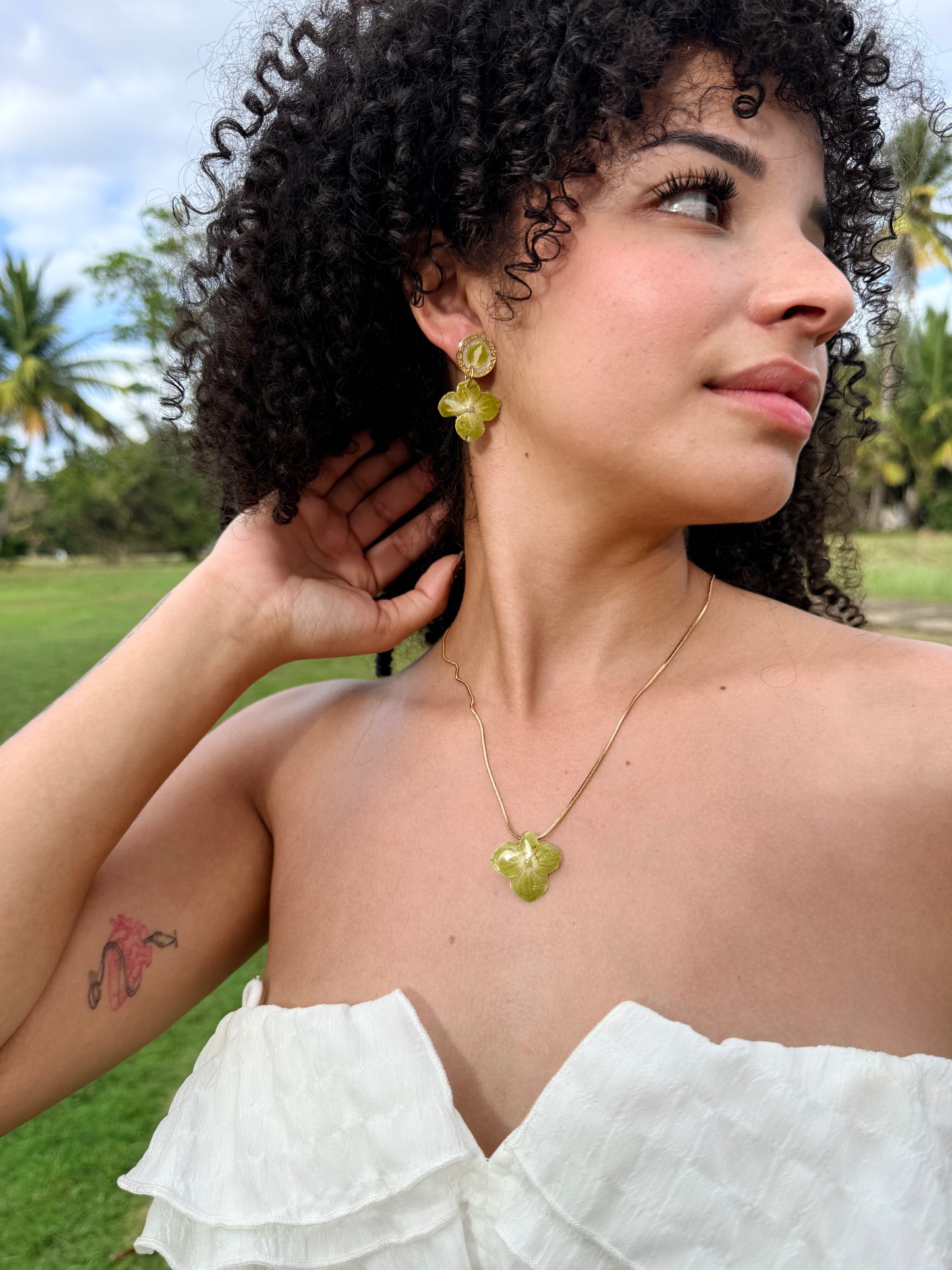 Mom’s Garden Bundle(Hortensia)