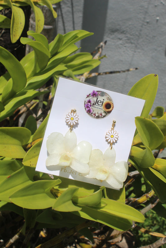 White Dendrobium Daisy earings
