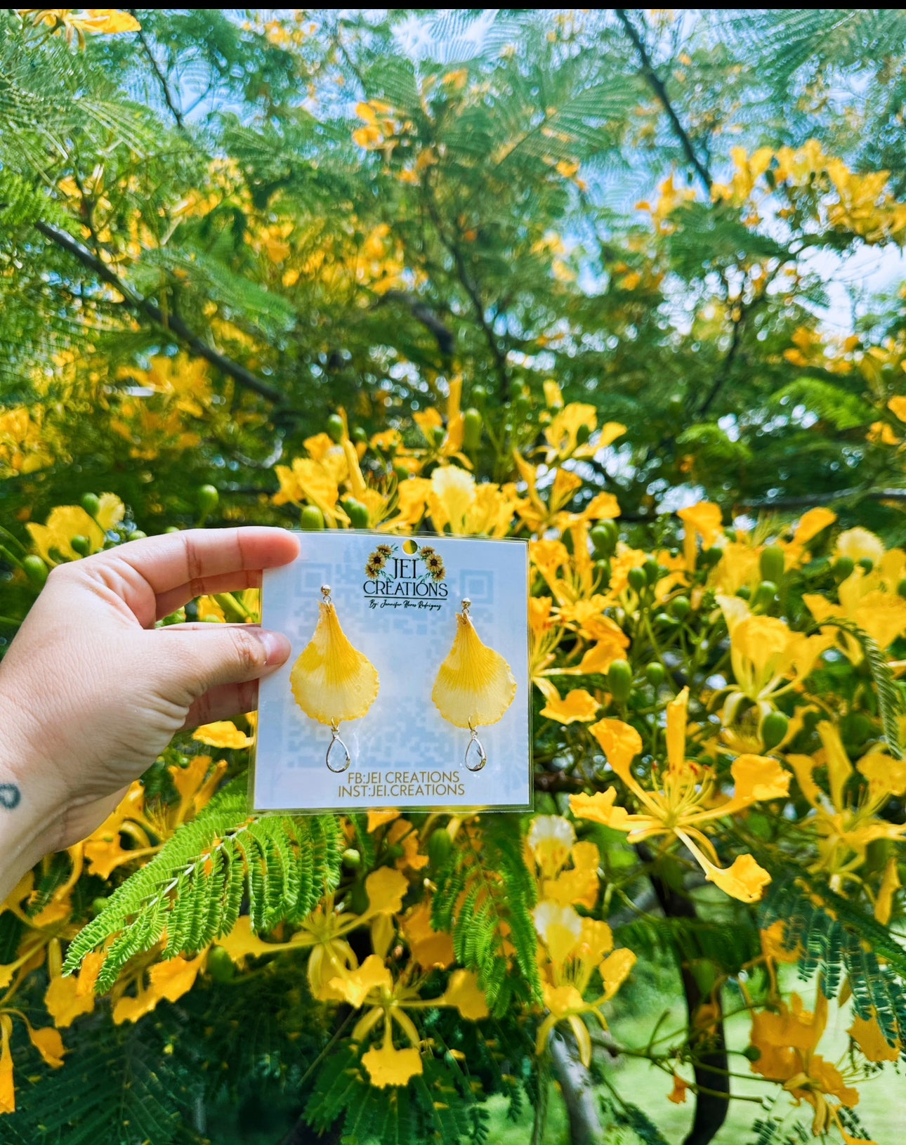 Flamboyán VIP(yellow)