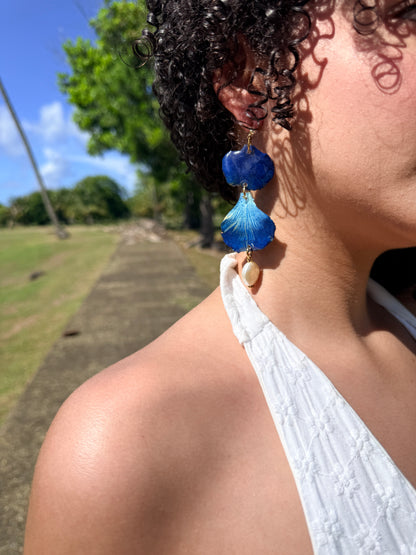 Flamboyán azul