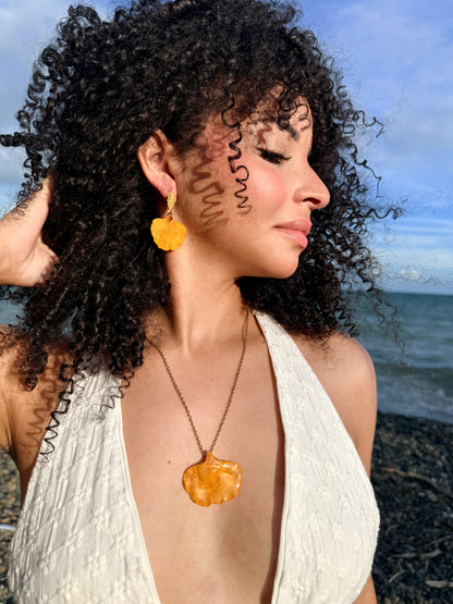 Set flamboyán amarillo