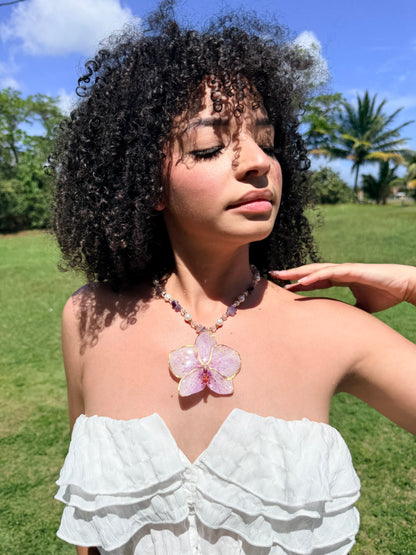 Phalaenopsis fairy purple necklace