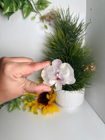 Prendedores(Orchid pins)