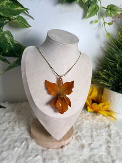 Orange orchid Cattleya