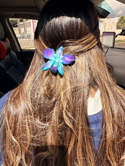 Blue Dendrobium Orchid Hair clip