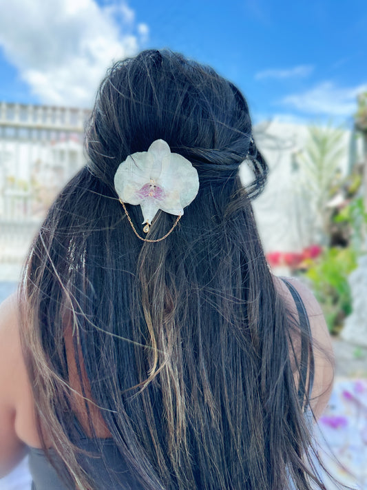 Phalaenopsis white Orchid Hair clip